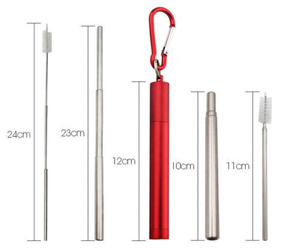 Stainless Steel Telescopic Straw